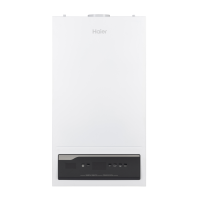 Газовый котёл Haier ProLine S 2.24 ТiW